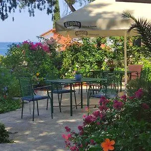 Adrienn Stari Grad (Hvar)